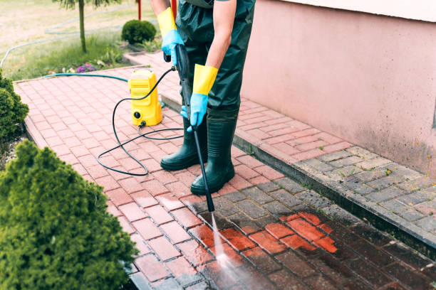 Best Driveway Pressure Washing  in Millbury, OH